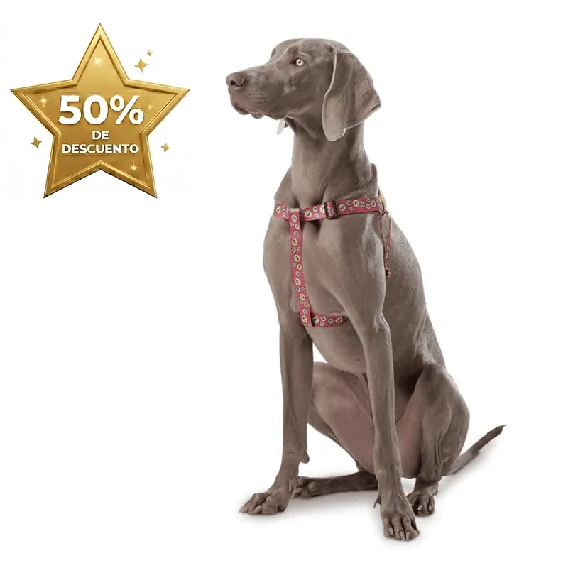 Totto Pets - Arnés De Caminata Brunno Rojo