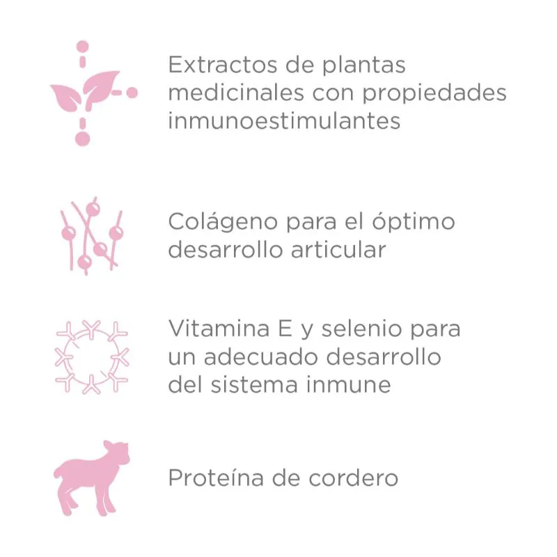Nupec - Cachorro Razas Mini
