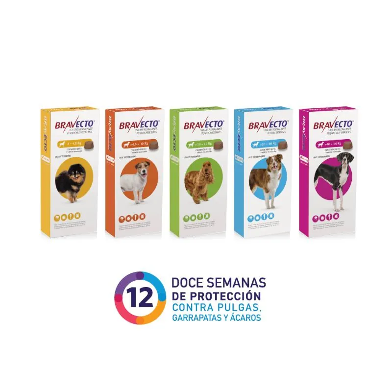 Bravecto 12 Semanas - Perros De 10 Hasta 20 Kg
