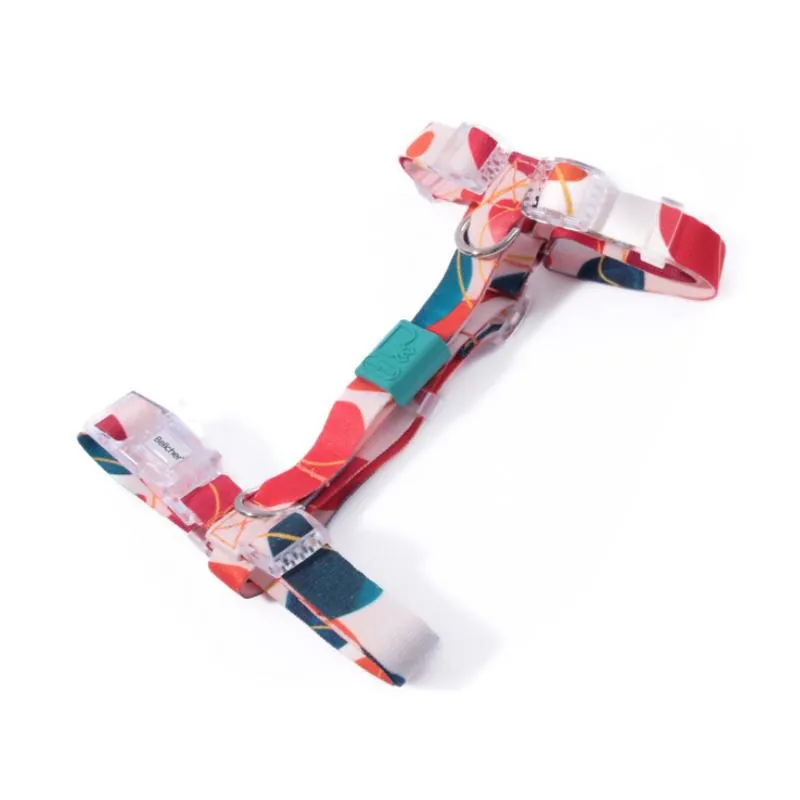Bellcher - Arnés Tipo H Fleker 1.5 Cm