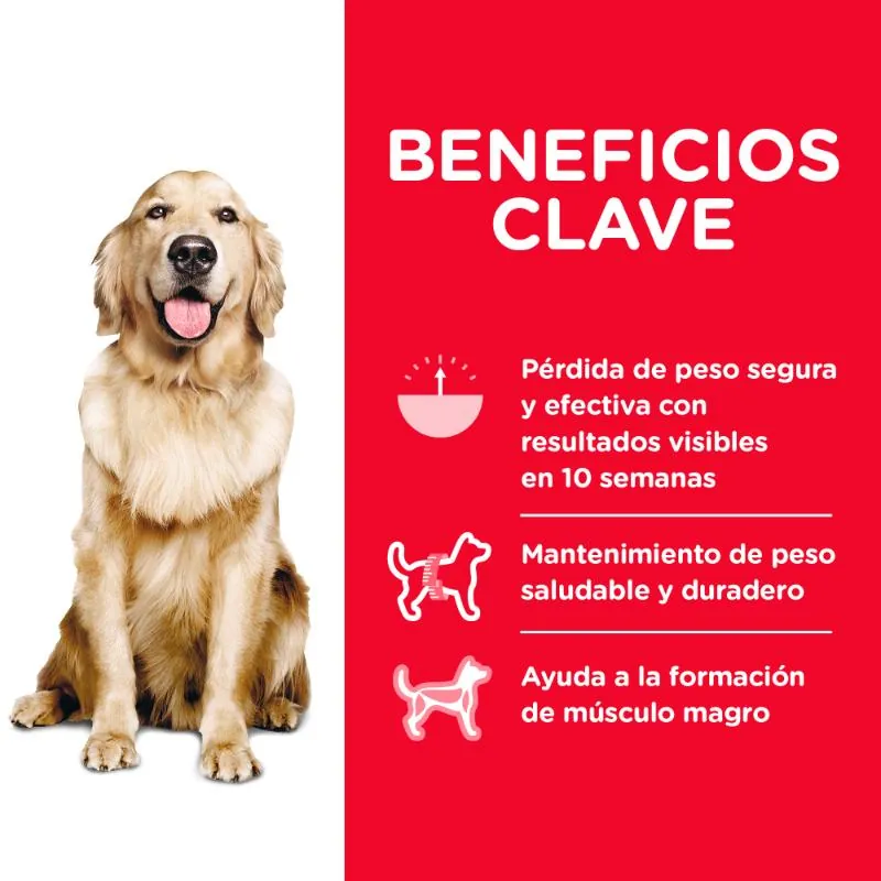 Hills - Science Diet Adult Perfect Weight Dog