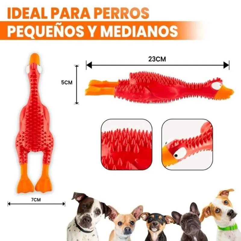 Paw Day - Juguete Mordedor Interactivo Pato