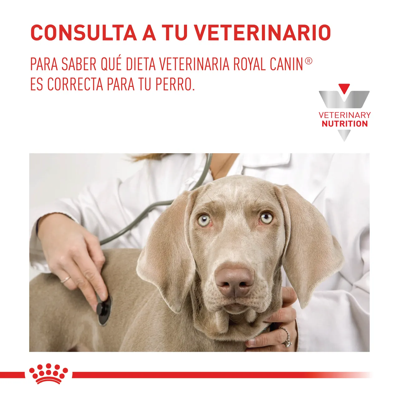 Royal Canin Veterinary Gastro Intestinal Junior