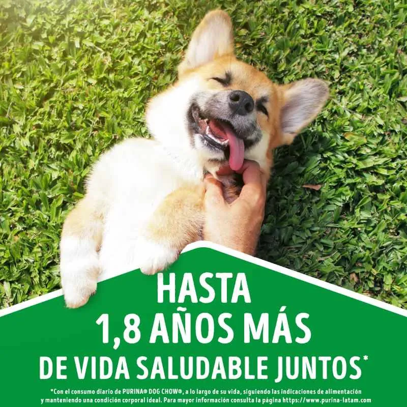 Dog Chow - Todos Los Tamaños Con Carne