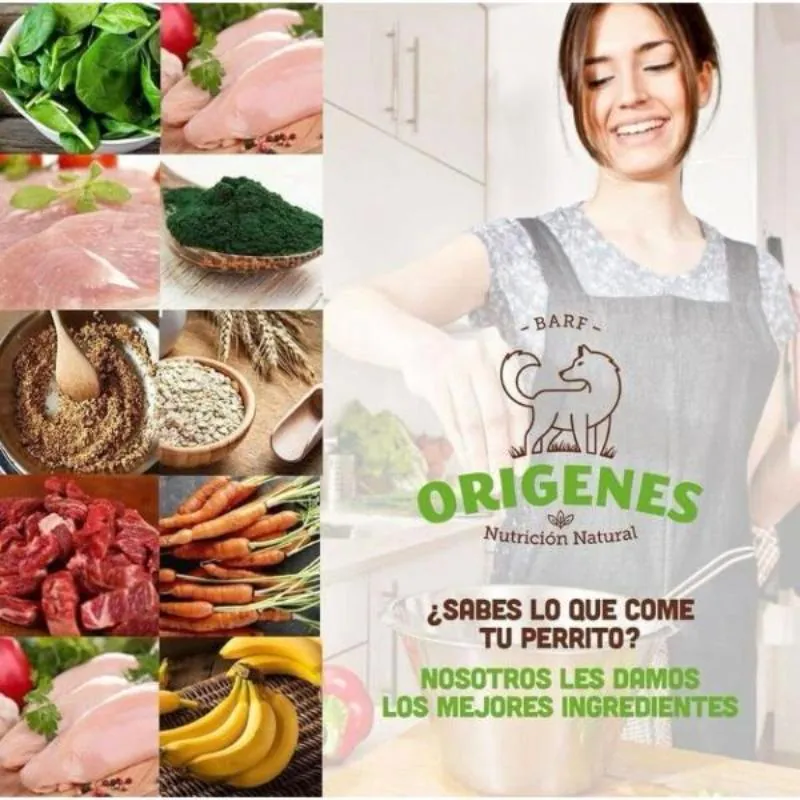 Barf Origenes - Alimento Congelado Menú Light Carne de Pollo