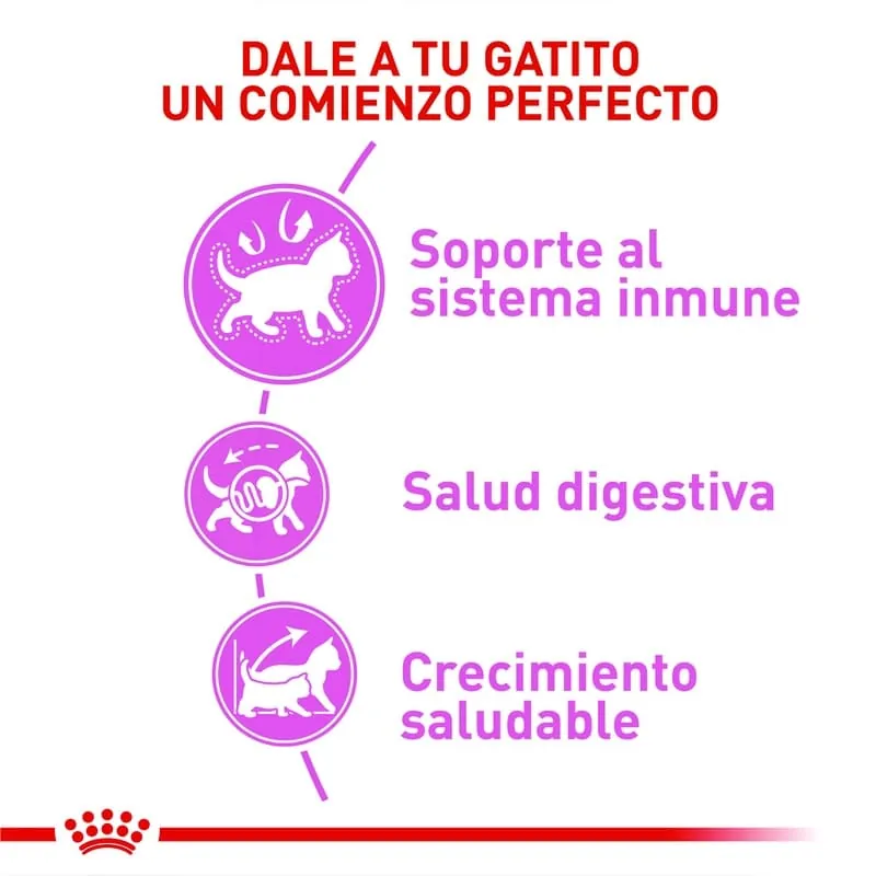 Royal Canin - Fhn Kitten