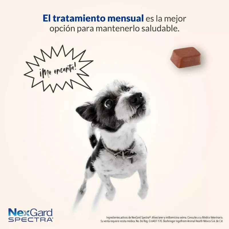 NexGard Spectra - Tableta Masticable para Perros 30.1 - 60 KG