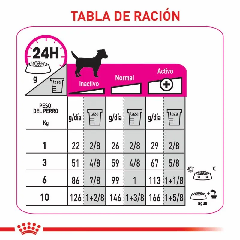 Royal Canin - Alimento Perro Mini Exigent