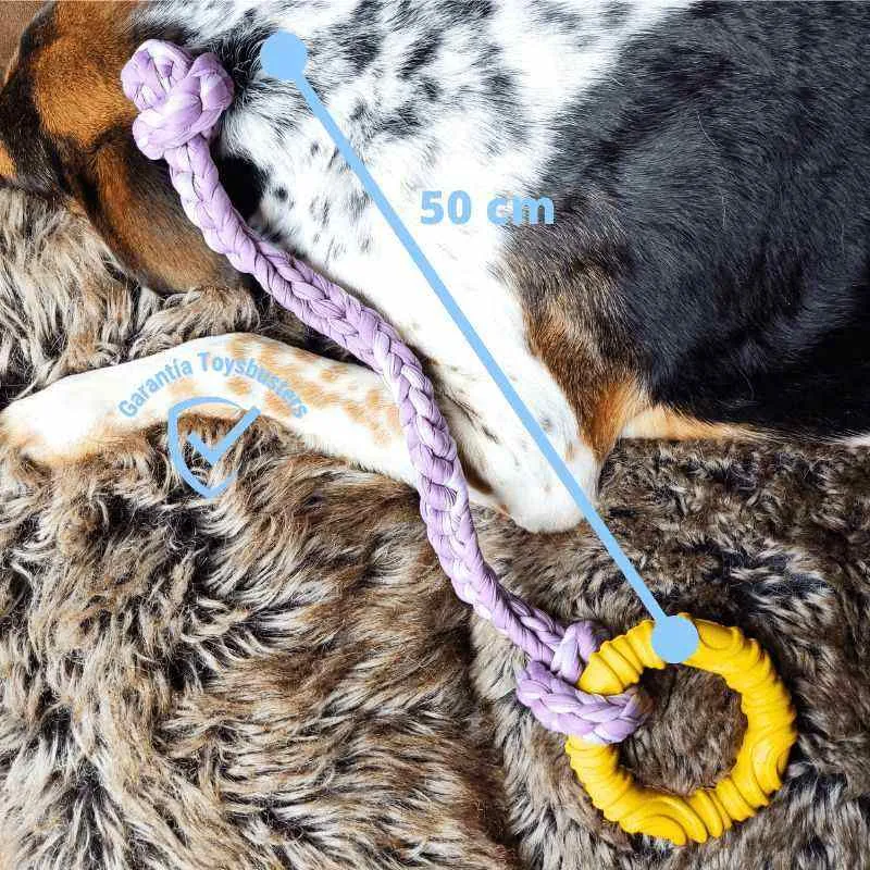 Toysbusters - Juguete De Jalar Resistente Para Perros - Morado