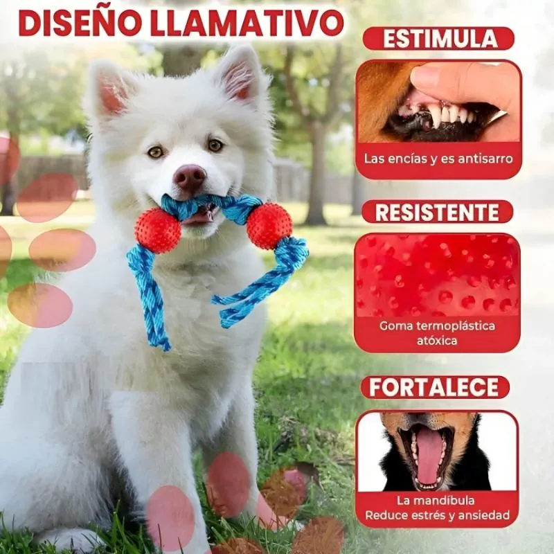 Paw Day - Juguete Interactivo Twin Pequeño