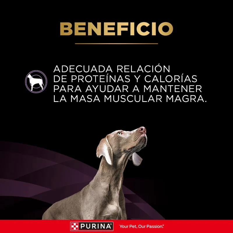 Pro Plan Veterinary Diets - JM Movilidad Articular