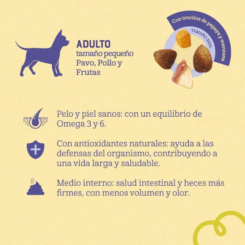 Naturalis - Perros Adultos Razas Pequeñas Pollo, Pavo y Frutas