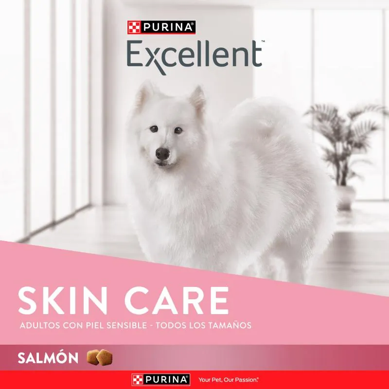 Excellent - Adulto Skin Care