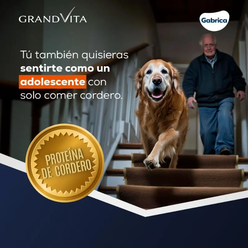 Grand Vita - Perros Adultos Cordero +7