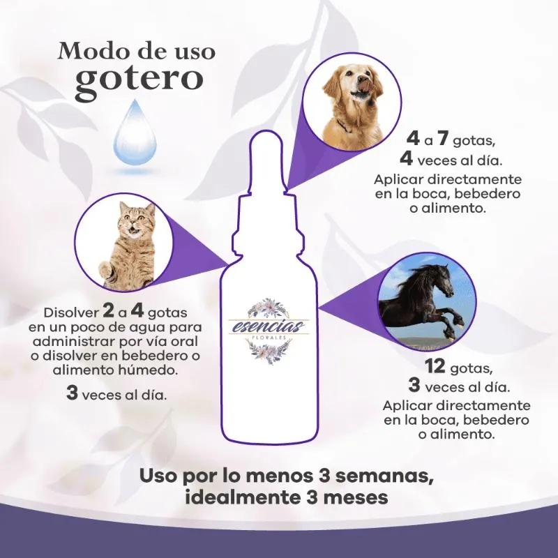 Esencias Gabrica - Esencias Florales De Estrés
