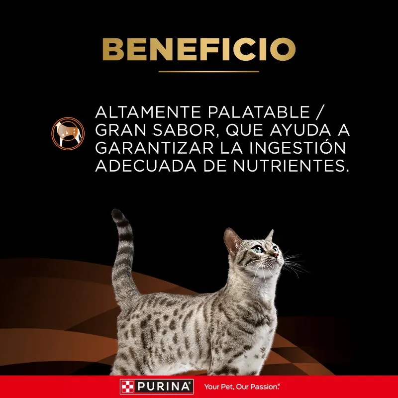 Pro Plan Veterinary Diets - NF Kidney Function Early Care Feline