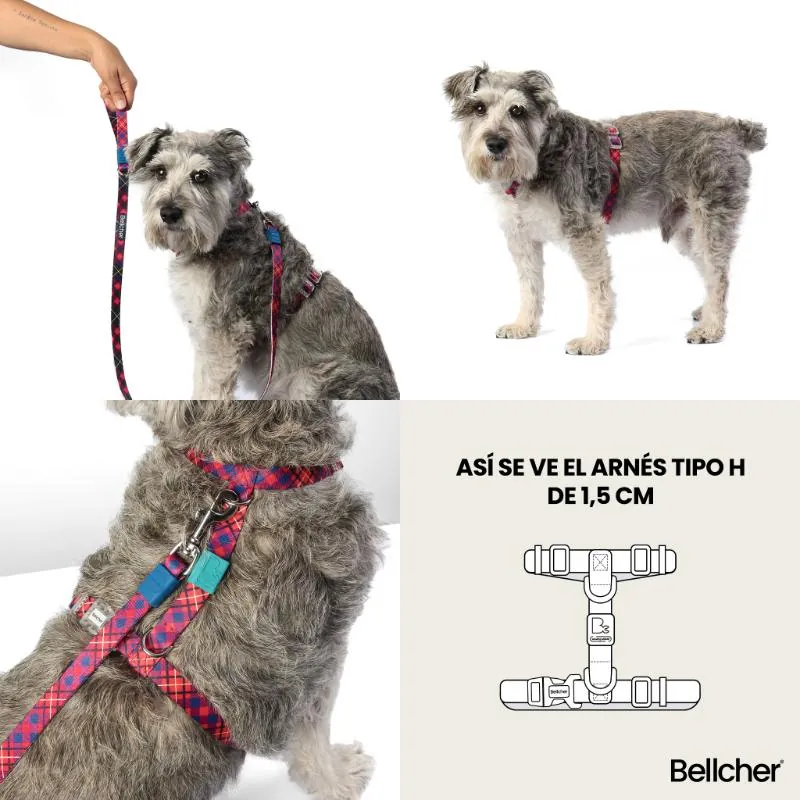 Bellcher - Arnés Tipo H Pixel Rosa 1.5 Cm