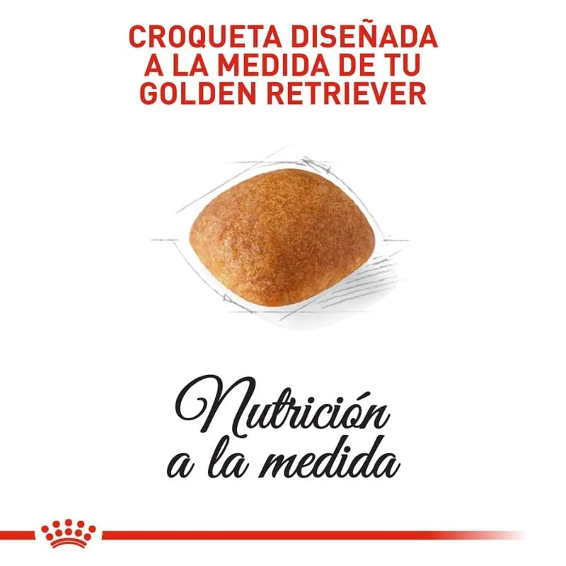 Royal Canin - Golden Retriever Adult