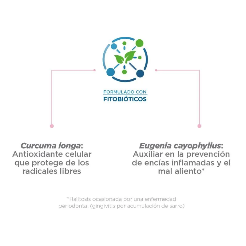 Nupec - Adulto Razas Mini