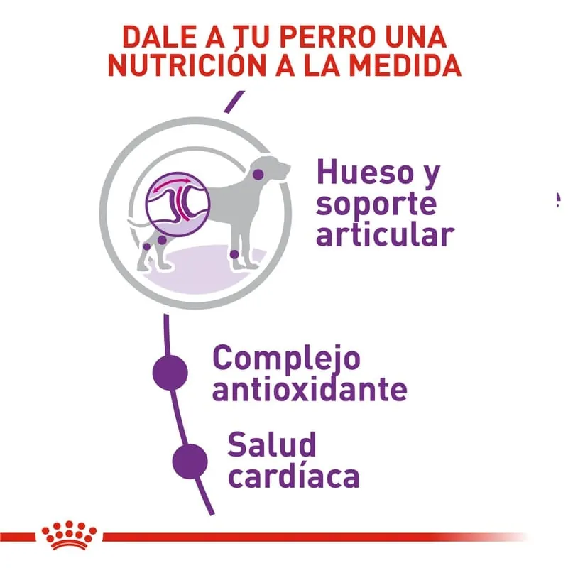 Royal Canin - Giant Adult