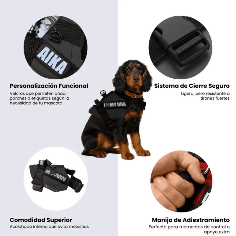 Dogerpilar - Arnés Velcro Negro