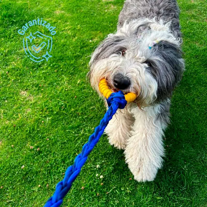 Toysbusters - Juguete De Jalar Resistente Para Perros - Azul