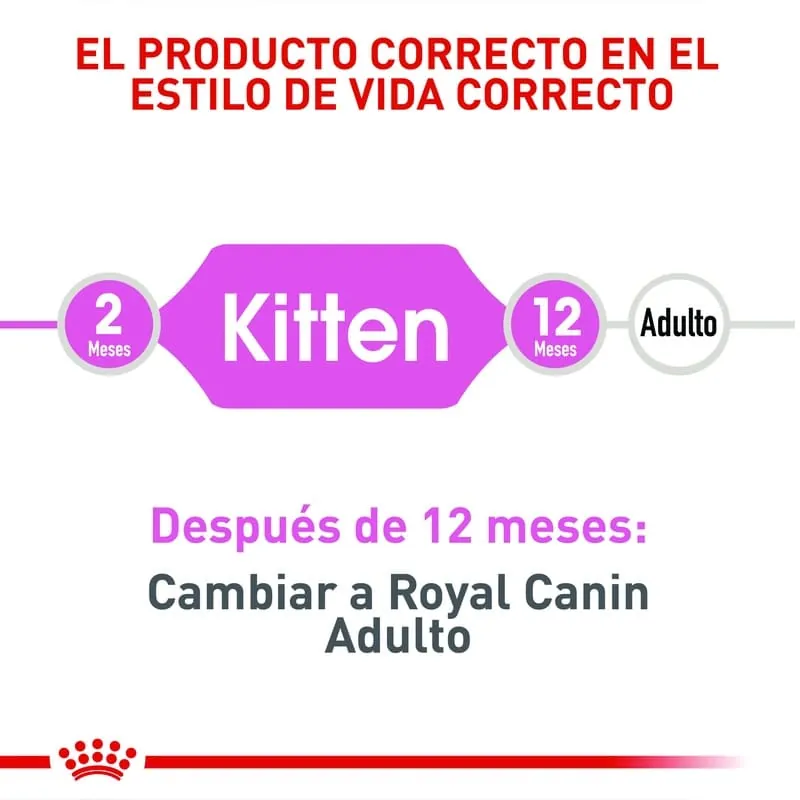 Royal Canin - Fhn Kitten