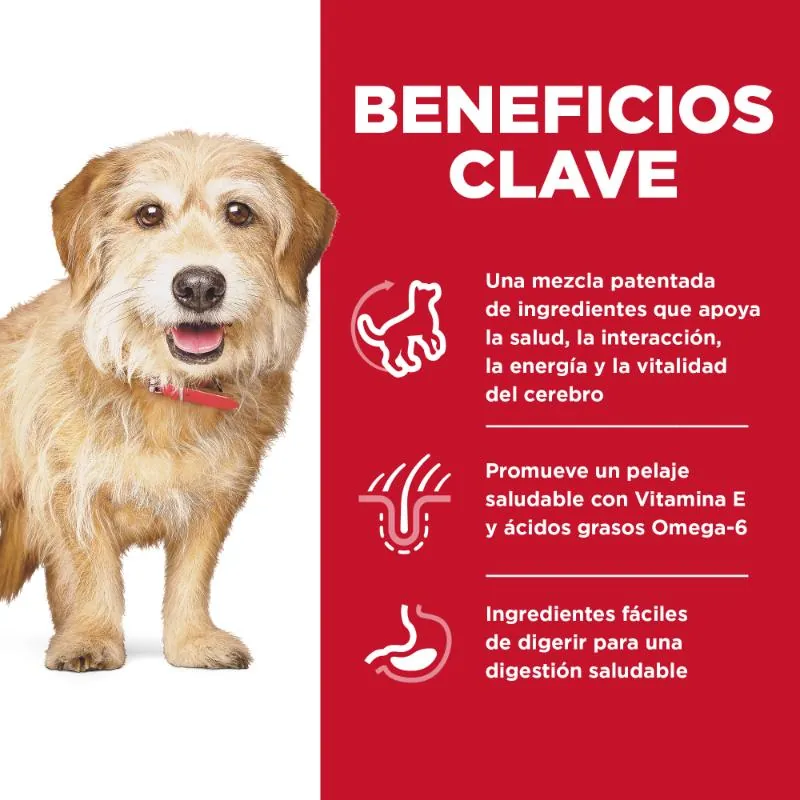 Hills Sd-Small & Mini Senior Vitality Alimento Perro Senior Sabor Pollo