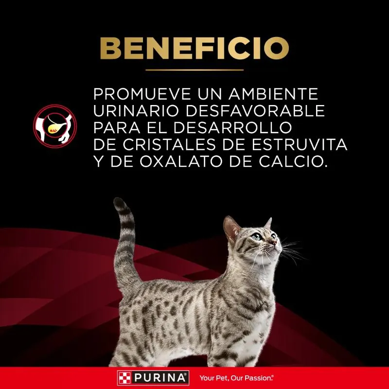Pro Plan Veterinary Diets - DM Diabetes