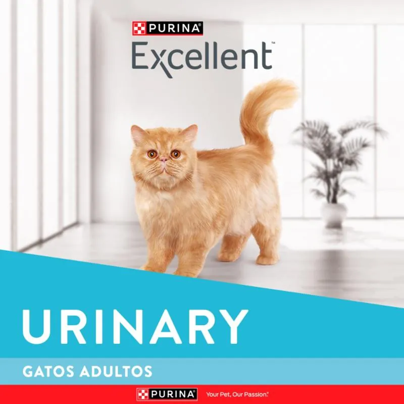 Excellent - Urinary Cat