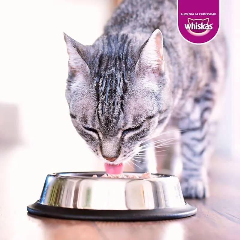 Whiskas - Alimento Húmedo Gatos Salmon