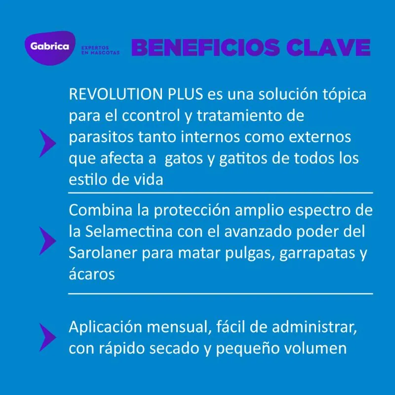 Revolution Plus - Antiparasitario Gatos TBX1 (1,25 Kg a 2,5 Kg)