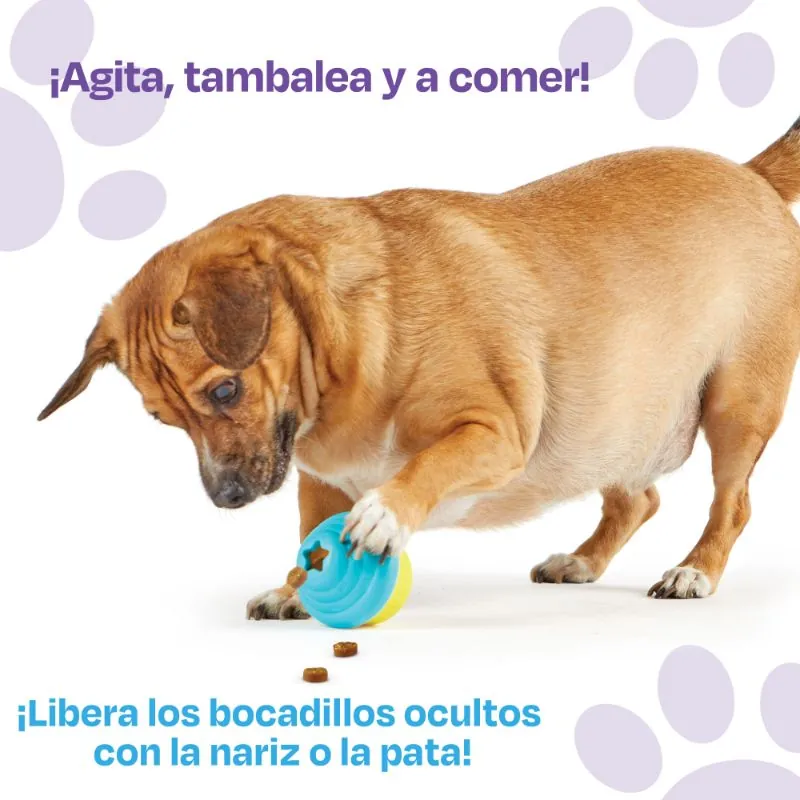 Brightkins - Dispensador Pequeño De Premios En Forma De Cupcakes