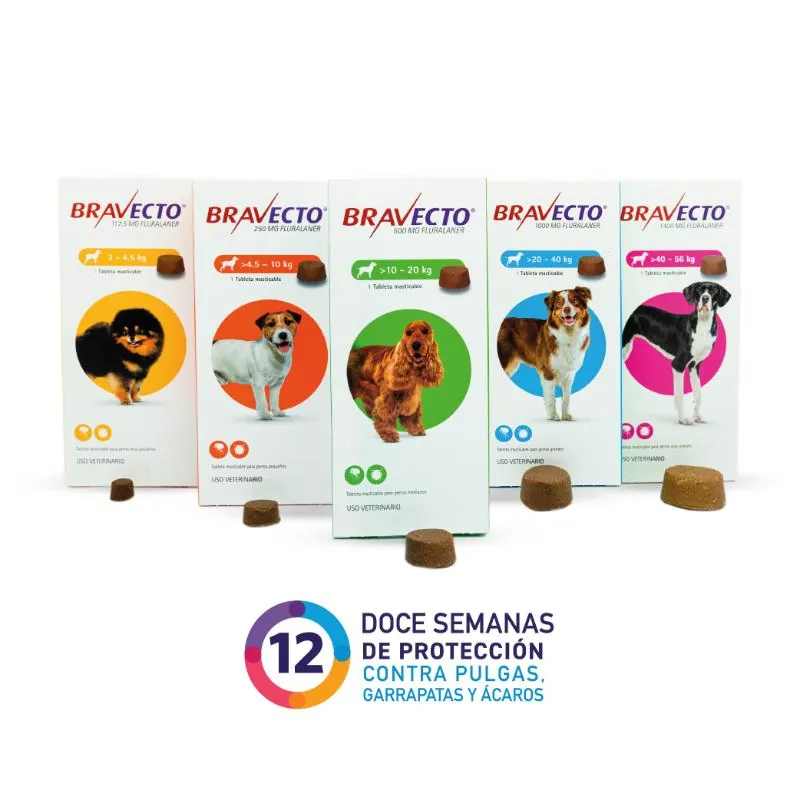 Bravecto 12 Semanas - Perros De 10 Hasta 20 Kg