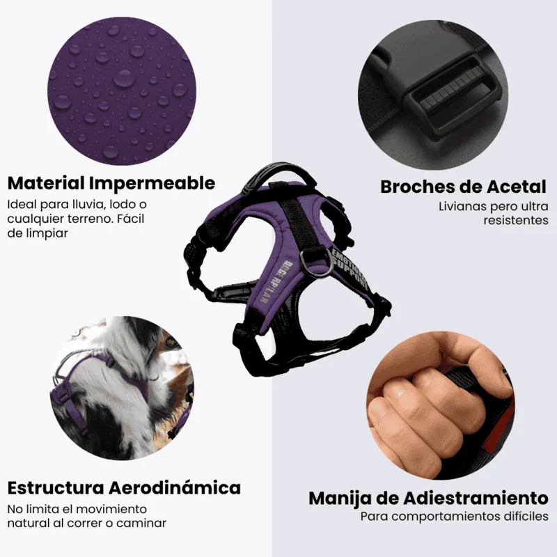 Dogerpilar - Arnés Deportivo Morado