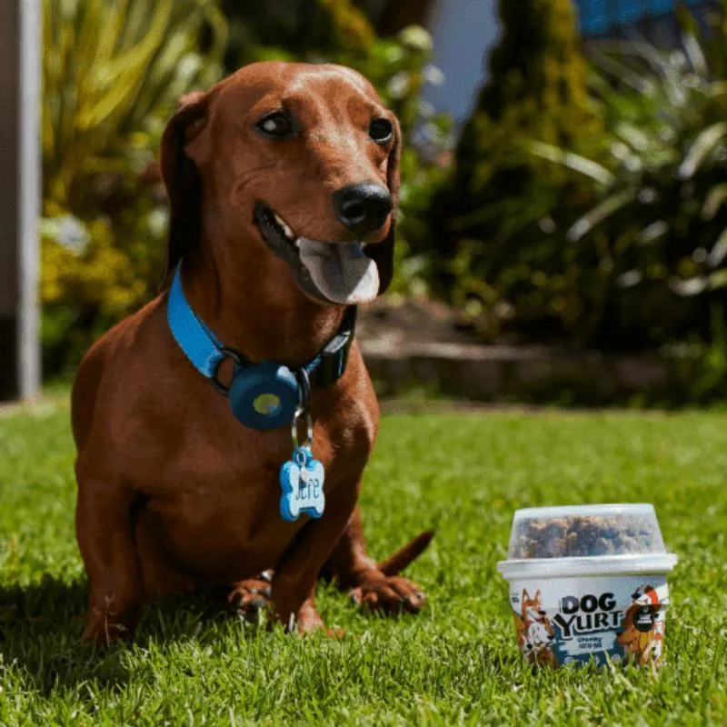 Dog Yurt - Chunky Delidog Snack para Perros