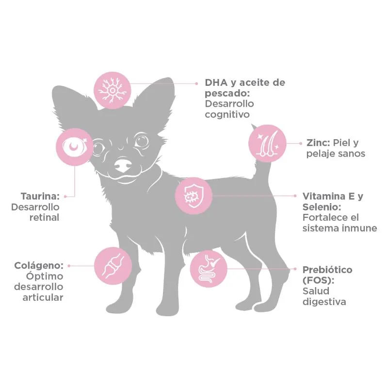 Nupec - Cachorro Razas Mini