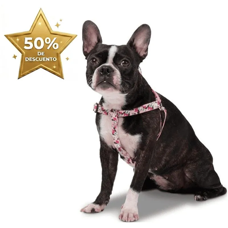 Totto Pets - Arnés de Caminata Brunno Minnie Mouse Rosado