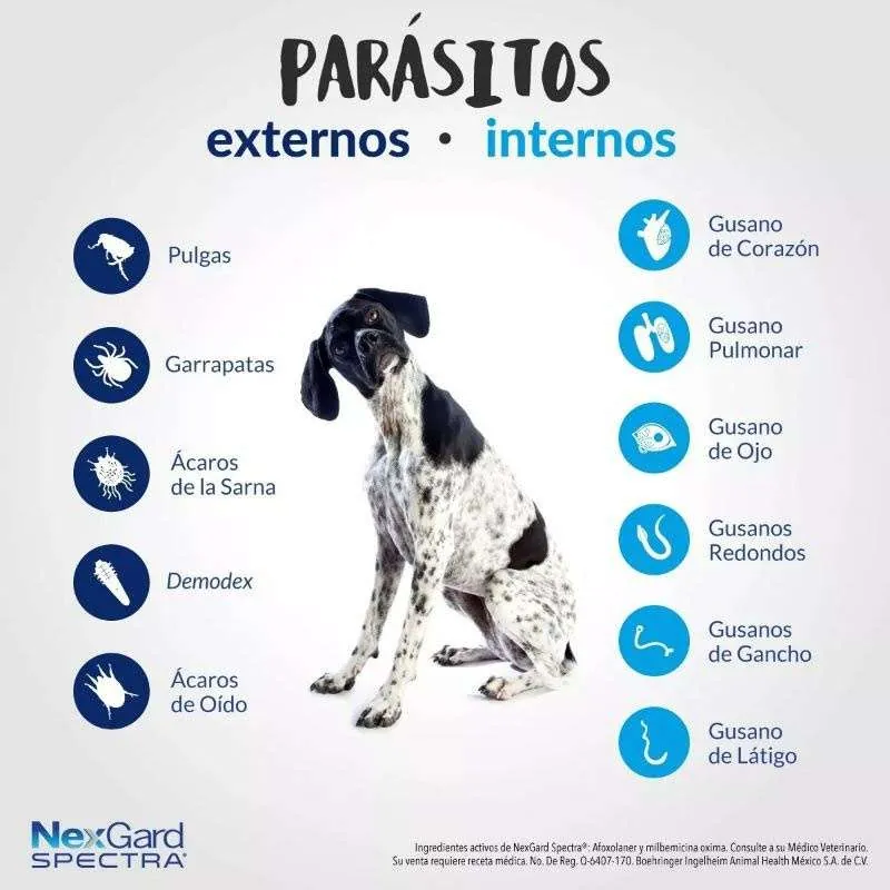NexGard Spectra - Tableta Masticable para Perros 15.1 - 30 KG