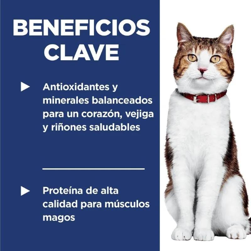 Hills Sd - Adult 7+ Alimento Saludable Gato Senior Sabor Pollo