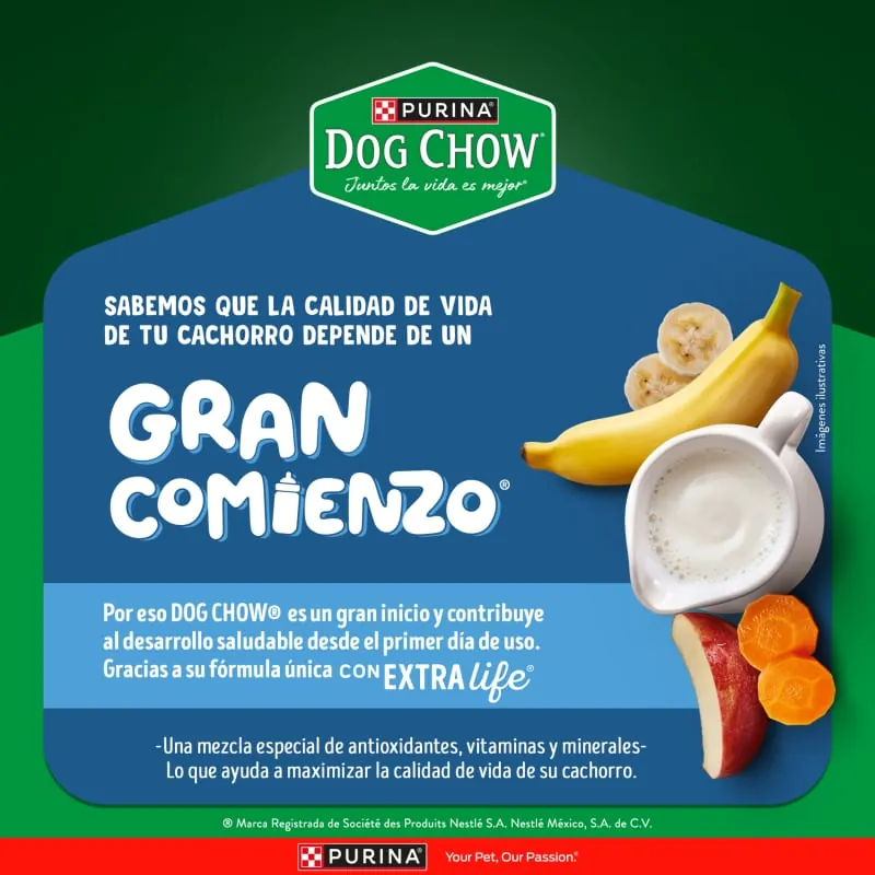 Dog Chow - Salud Visible Cachorros Medianos Y Grandes