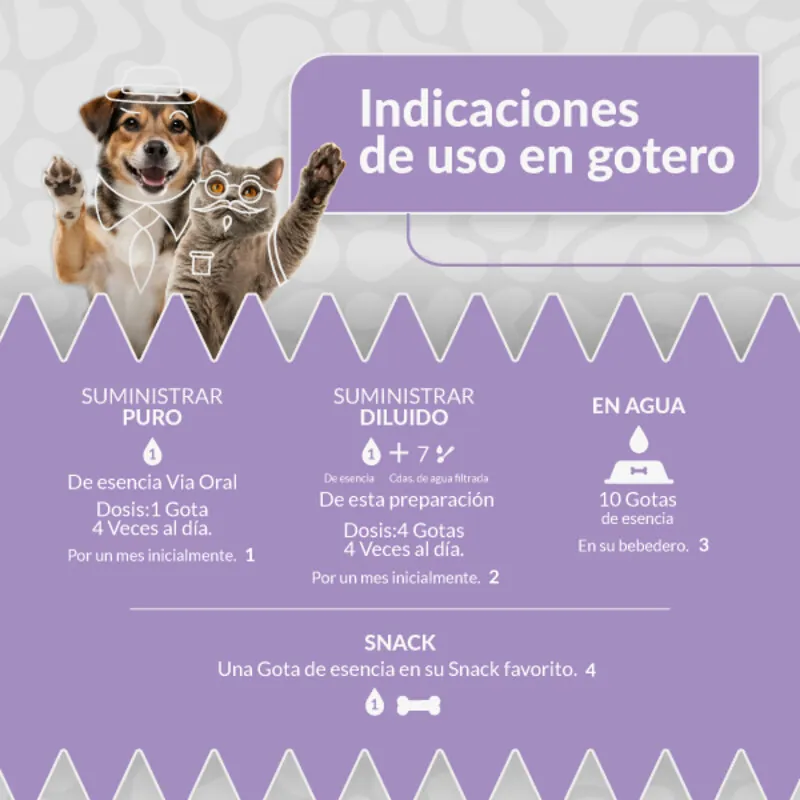Siu - Esencia Floral Aprendizaje