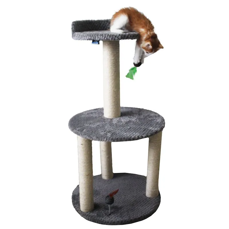 Maos Pets - Gimnasio Redondo