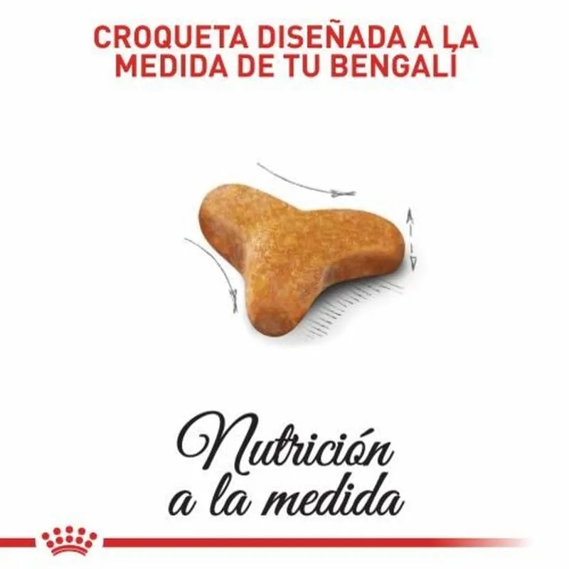 Royal Canin - Bengali Adulto