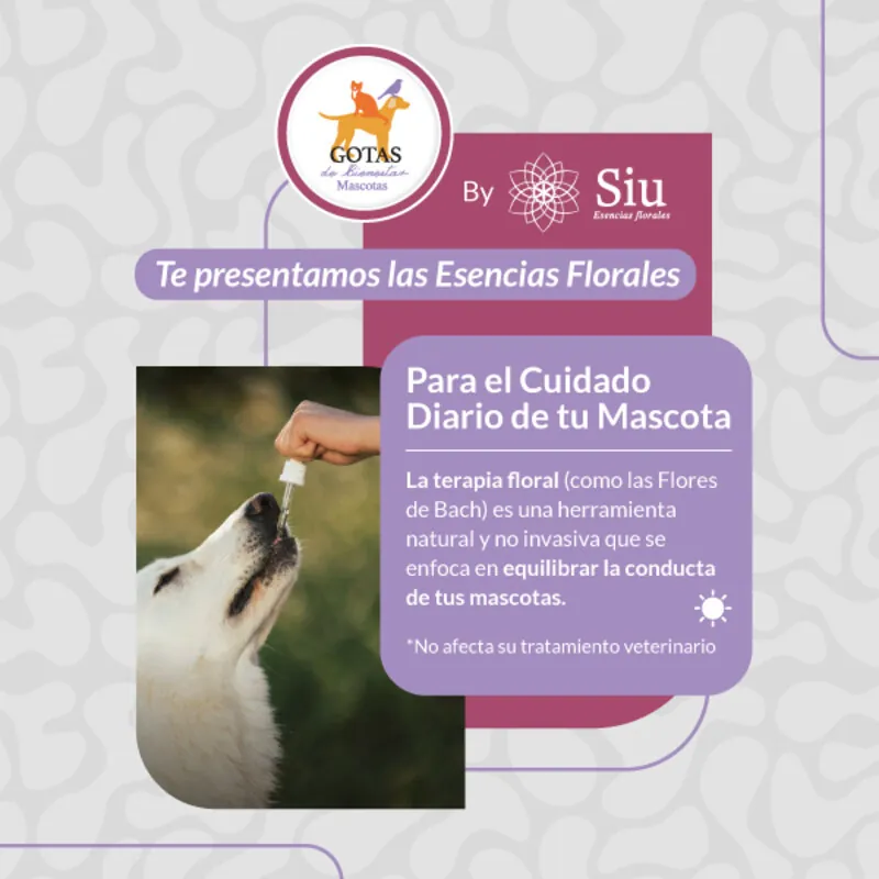 Siu - Esencia Floral Aprendizaje