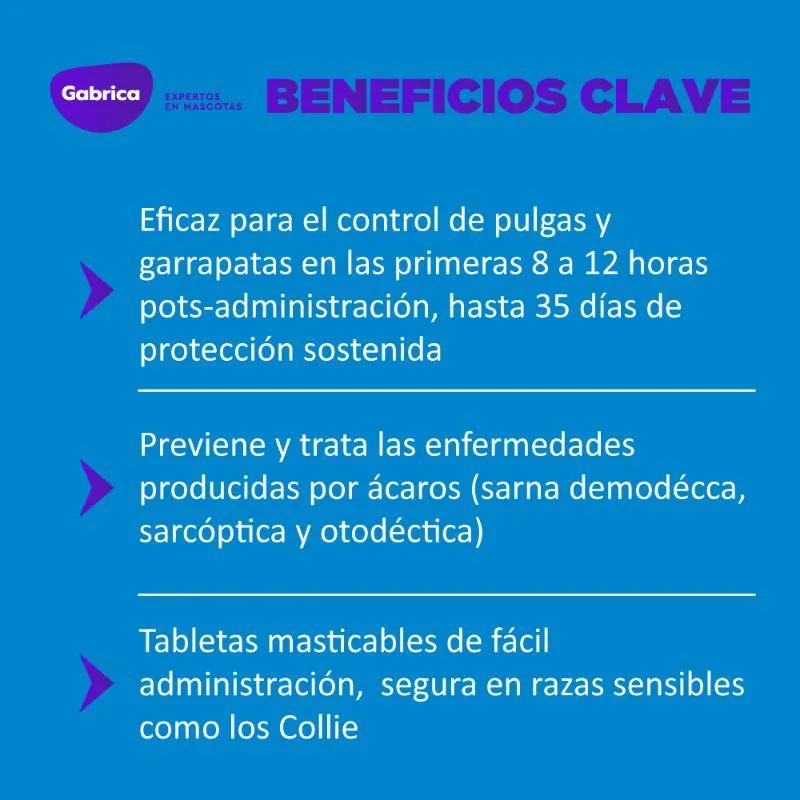 Simparica - Perros De 20,1 Hasta 40 Kg.