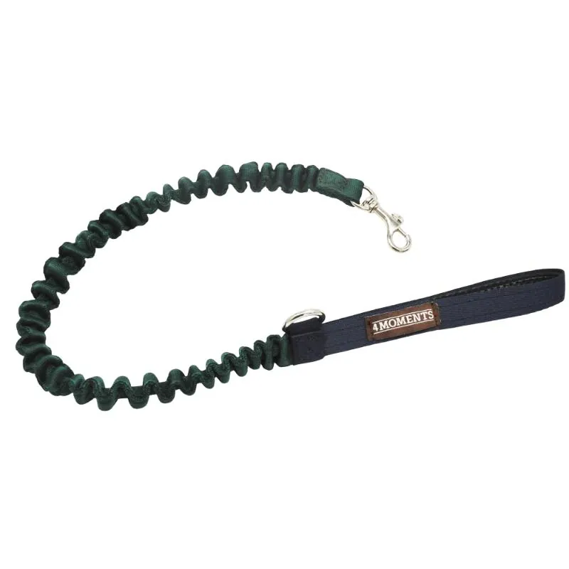 4 Moments - Correa Expandible Verde