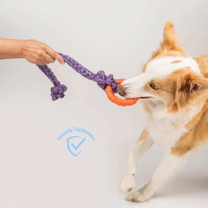 Toysbusters - Juguete De Jalar Resistente Para Perros - Morado