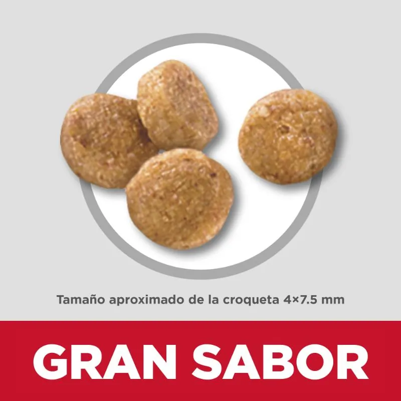 Hills Sd-Small & Mini Senior Vitality Alimento Perro Senior Sabor Pollo