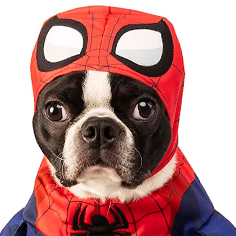 Disfraces Americanos - Spider-Man Mascota